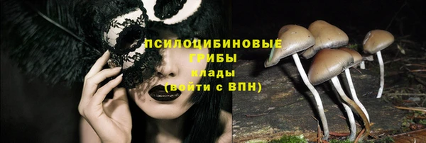 СК Балабаново