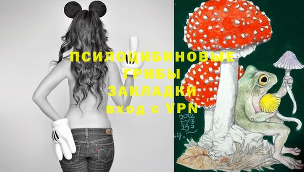 jwh Баксан